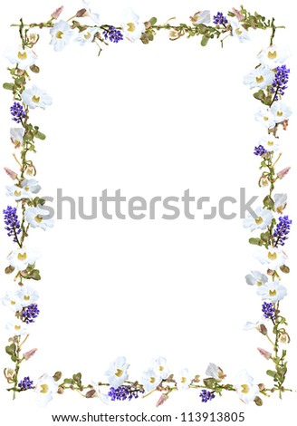 Stock Photo Free on Sky Flower Vine Border Isolated On White Background   Stock Photo
