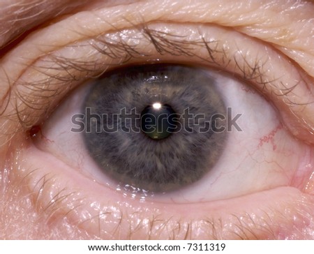 Detailed macro of a 60 year old male eye.