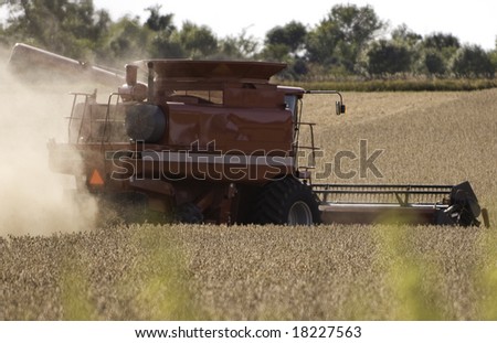 Fall Harvest: Combining soybeans