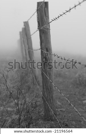 Black & White images of barbed wire fence in early morning fog.
