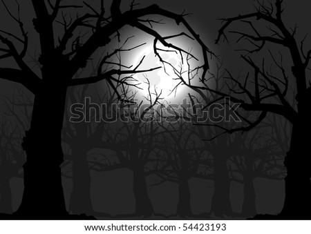 scary trees at night. scary trees at night with