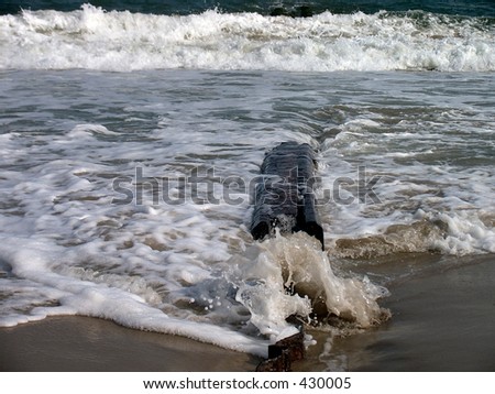 Beach Log