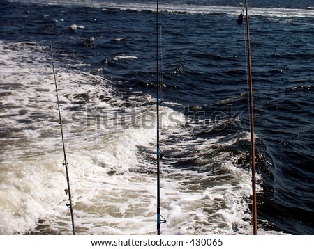 Fishing rods on the stern of the boat.