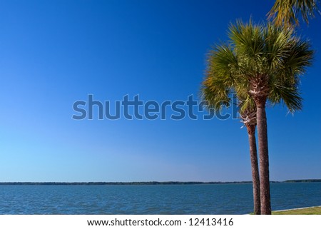 Tropical beach with palm trees at Hilton Head. Plenty of copy space