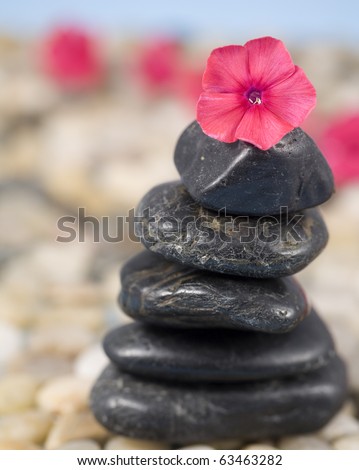 Zen and Balance concept featuring stones stacked on a bed of pebbles, with beautiful Phlox flowers leading to the ocean.