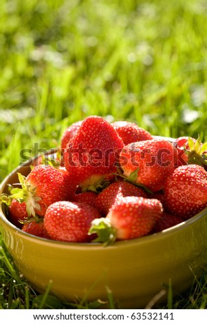 Beautiful strawberries in a bowl in outdoor setting.  Freshly picked and organically grown.