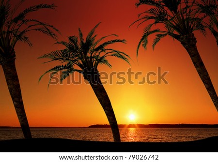 Tropical island paradise. Perfect for vacation and destination concepts, and much more!