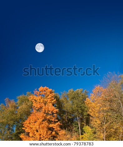 The late afternoon moon rises over a beautiful autumn scene on Halloween day.  Plenty of copy space.