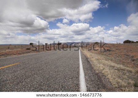 Staring down the white line on this long desert road in New Mexico, USA