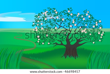 four seasons - spring apple tree