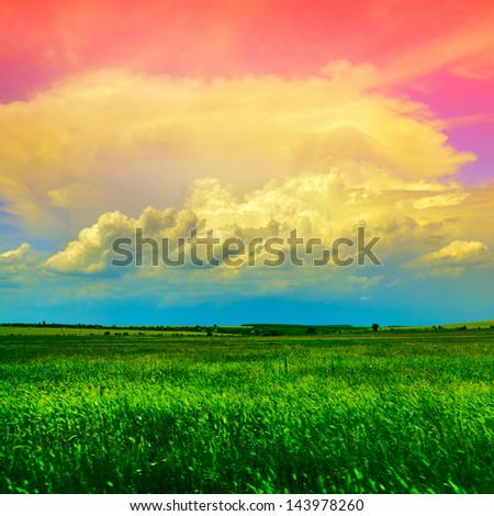 country landscape with green wheat field and blue-pink sky with light clouds