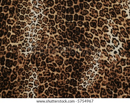 Wild African animal skin texture