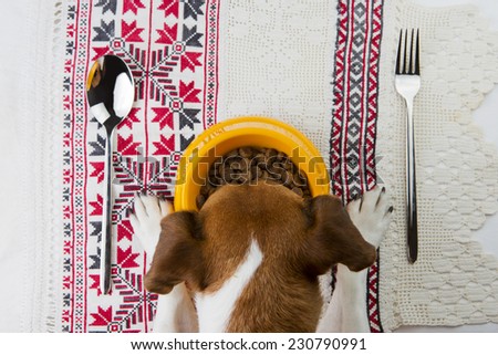 Tasty food for dogs. School of good manners in the Ukrainian style