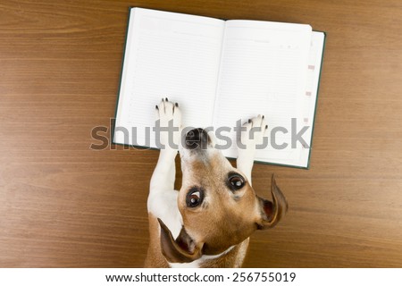 Nice Jack Russell terrier dog making notes in the album white sketch book. Empty space you can put your information. Looking to the camera