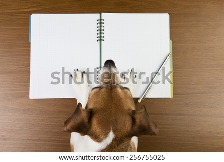 Smart Jack Russell terrier dog making notes in the album white sketch book. Empty space you can put your information