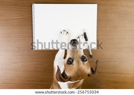 Cute Jack Russell terrier dog making notes in the album white sketch book. Empty space you can put your information. Looking to the camera