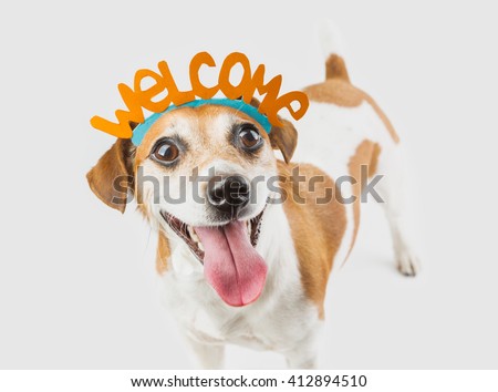 Adorable cute small smiling dog with Welcome word on the head. Gray background. Welcoming pet muzzle