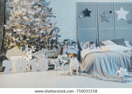 New Year decorated modern interior of room with bed and Christmas tree and stars. Small cute dog sitting on the floor.
