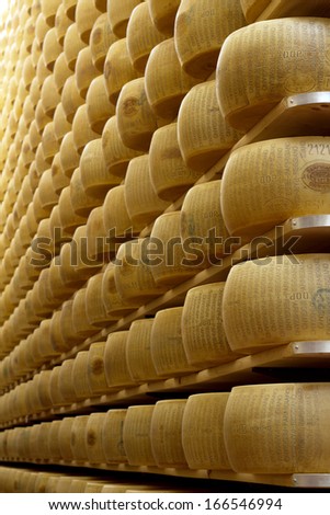 wheels of cheese on the racks of a maturing storehouse