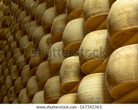 heap of wheels of cheese in a maturing storehouse