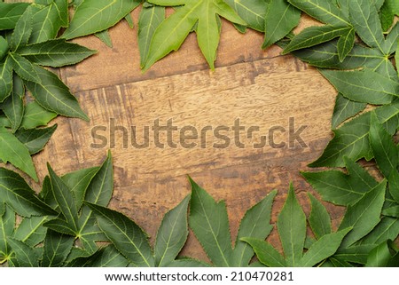green maple leaves on aged wood background
