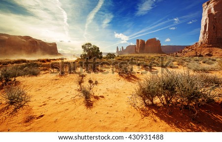 bushes in the orange sand of monument valley