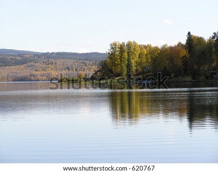 upland forest and lake reflections