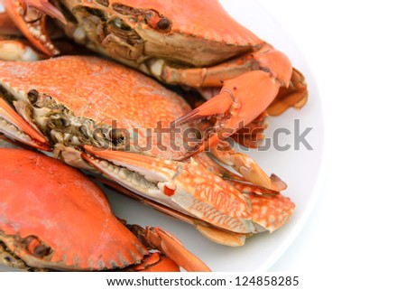 seafood, boiled crabs prepared