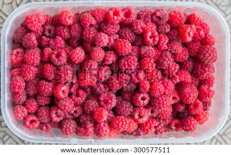 Summer harvest of raspberries in Russia