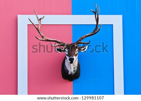 deer head on the wall