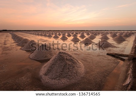 Beautiful landscape of a summer with a salt farm in Thailand