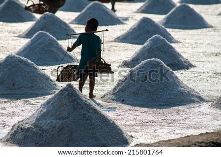 Salt pan at rural area of Thailand