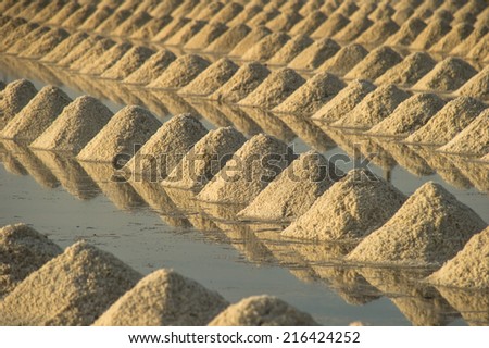 Row of salt in Salt pan