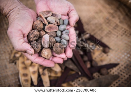 dry seeds on hands