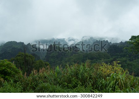Fog covers distant trees on a limestone mountain side, Laos