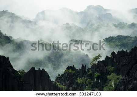 Distant trees surrounded by thin fog on the limestone ridge, Laos