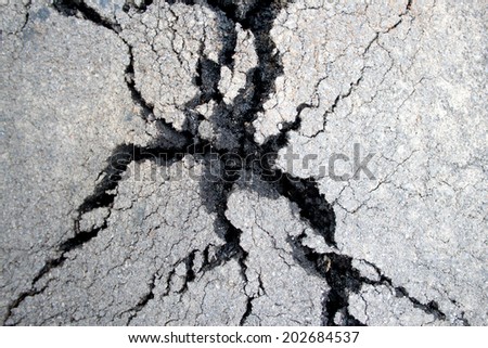 Forces of nature break through the asphalt