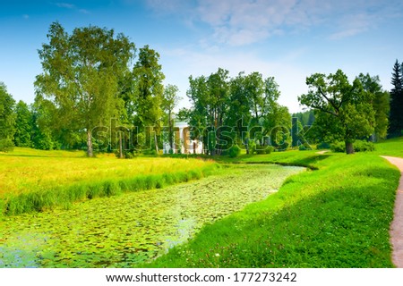 beautiful landscape of the park, overgrown lilies river