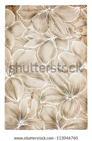 Hand drawn  flowers on grunge paper background