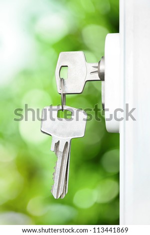Keys in door lock, summer defocus background
