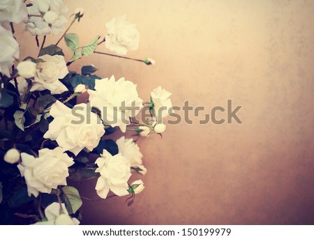 White roses, retro tinted photo