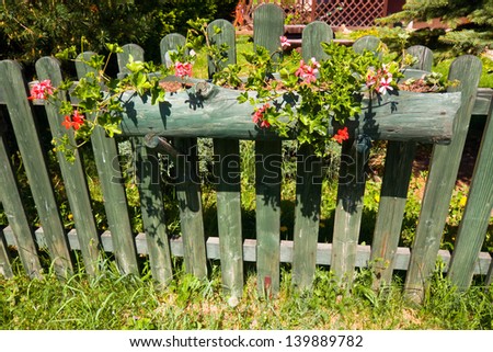 beautiful flower decoration of an old wooden fence
