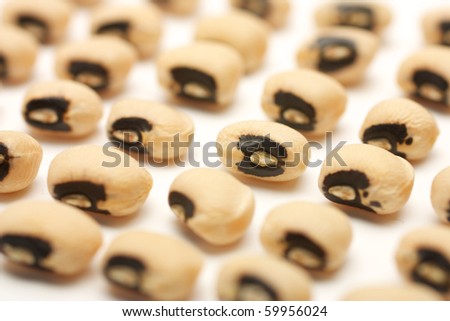 Seeds of black eye beans posted several neat rows. Isolated on white background.
