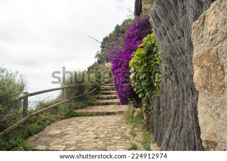 Old stone ladder to mountains. Europe. Spain.