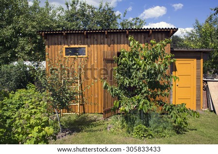 Wooden shed backyard with garden trees