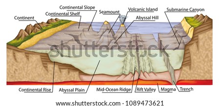 The ocean floor, sea floor, underwater relief, earth\'s oceans, bathymetry, geography, geology, continental shelf, slope and rise, abyssal plain and hill, trench, magma, volcanic island