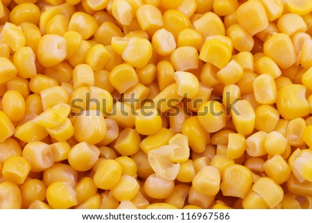 sweet soft canned corn photographed close-up