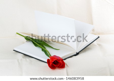 tulip flower book on a white background