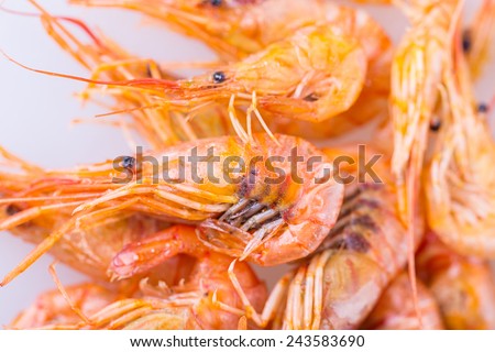 shrimp Isolated on white background