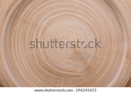 wood cut circles texture background